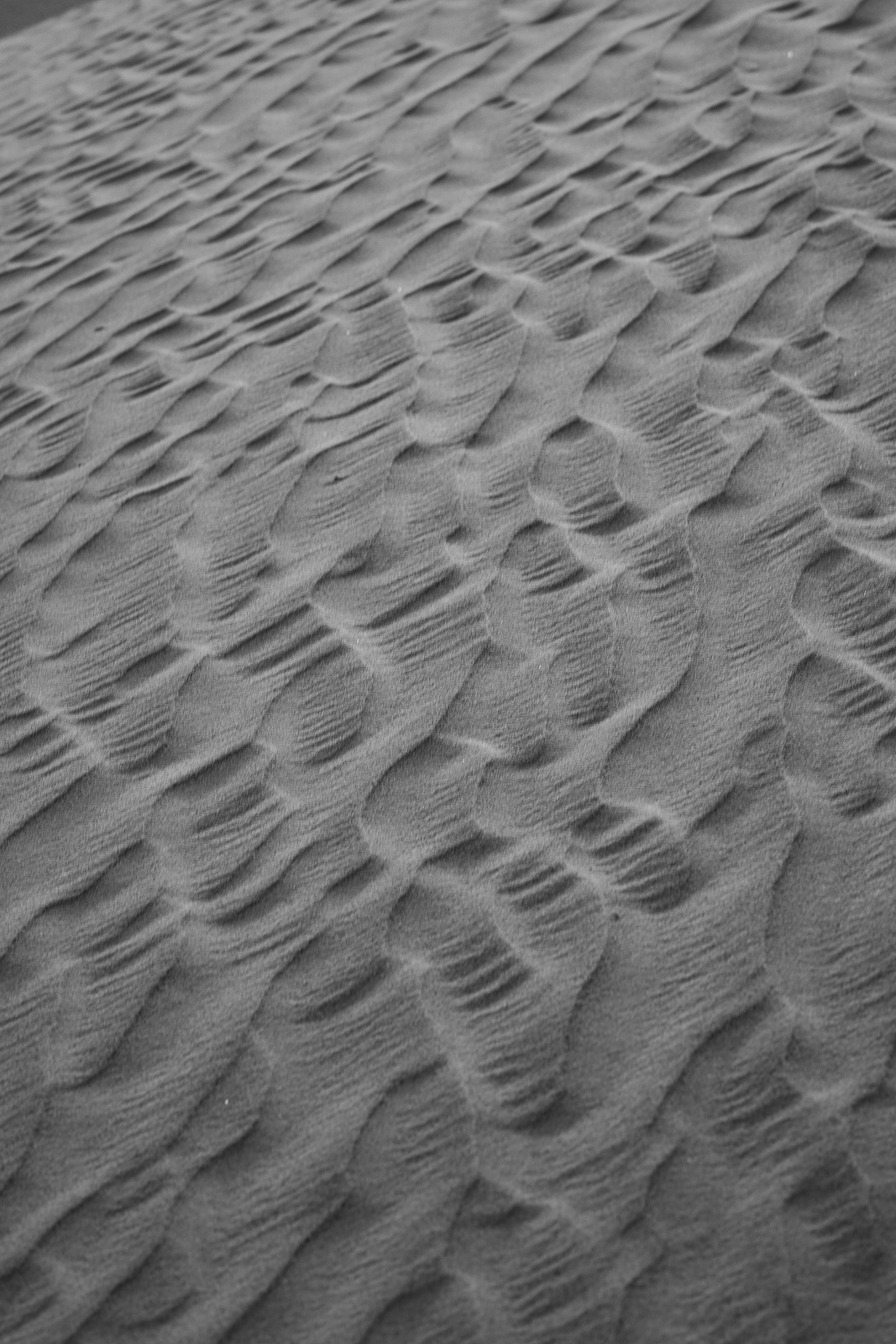 Human & Nature  outoftime 127